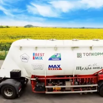 Фідлайн Житомир