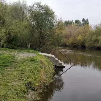 Видовий турнік
