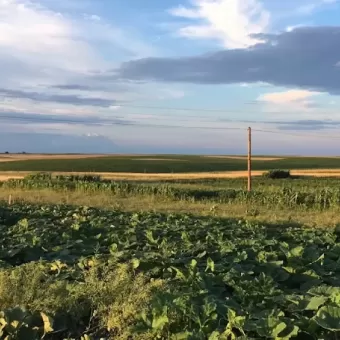 Укрпошта 45664