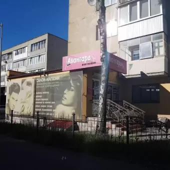 Авангард професіонал