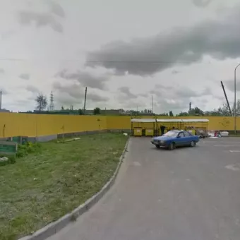 Рижий пес