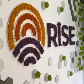Rise - купівля, продаж нерухомості у Львові та області