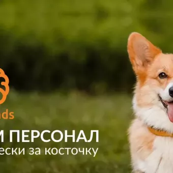 Рекрутингова агенція Best Heads - підбір персоналу у Львові