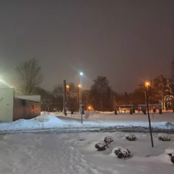 Сінево / Synevo