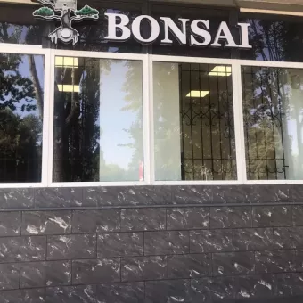 Bonsai