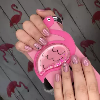 Flamingo Beauty Club
