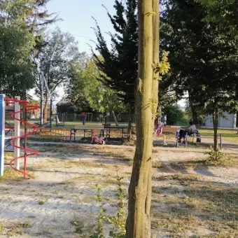 Мурованський парк ім. Зіновія Петруха