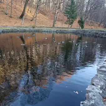 Парк Погулянка, каскад ставків на потічку Пасіка