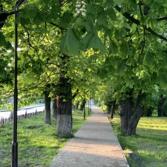Парк біля церкви Йосафата