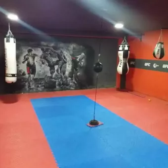 Pitbull Fight-club / Спорт-Клуб "Пітбуль" Ужгород
