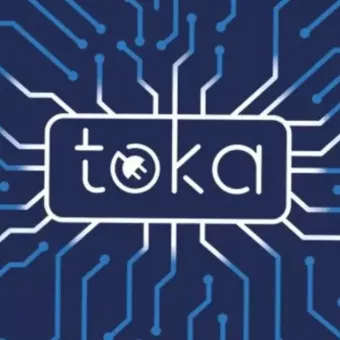 Электрозаправка TOKA #90