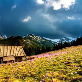 Екскурсії по Закарпаттю - Unique Travel
