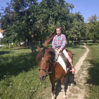 Кінно-спортивний клуб "Сивка"