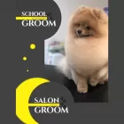 Salon Groom