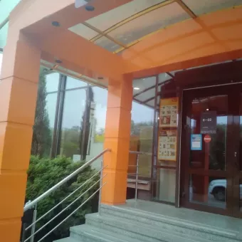 Рукавичка