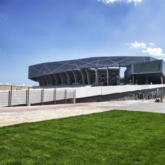 Арніка