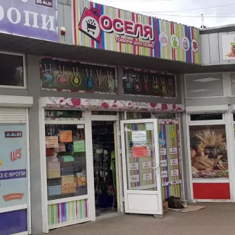 Оселя