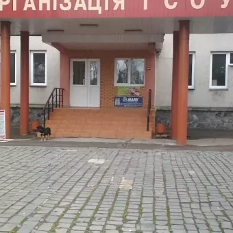 Сікурс