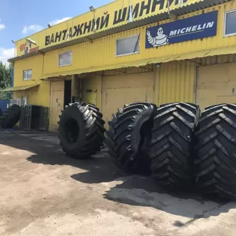 100 шин