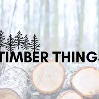 Timber Things - Меблі з дерева