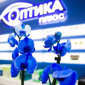 Оптика Плюс