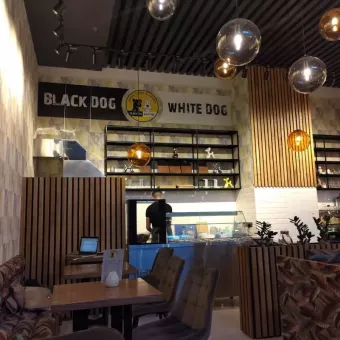 black dog white dog