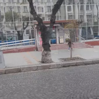 Студія творчого розвитку