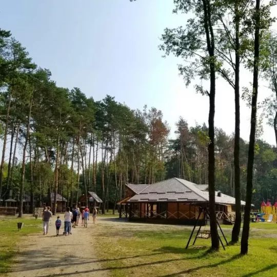 Сокіл