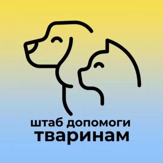 Покинуті та загублені тварини Дніпро | Брошенные животные Днепр | 6 К
